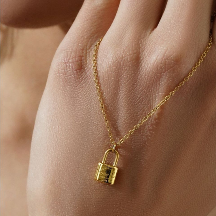 گردنبند و پلاک آویز استیل عیار316 طرح dior رنگ ثابت کد mp