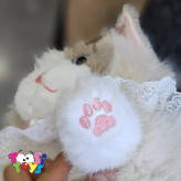 عروسک کیف و کوله گربه اشرافی اورجینال