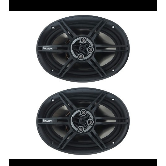 باند اسپیکر ساووی مدل SV-6901 بیضی بسته دو عددی